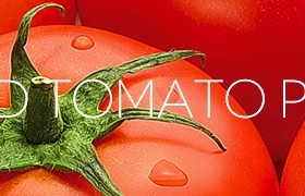 Badr Food Industries