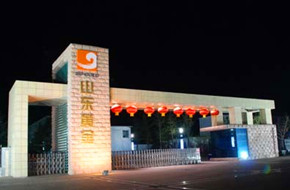 山东黄金集团